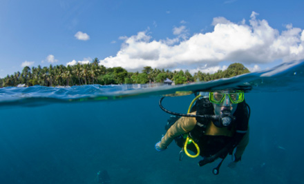 $399 for a PADI Open-Water Diver Course