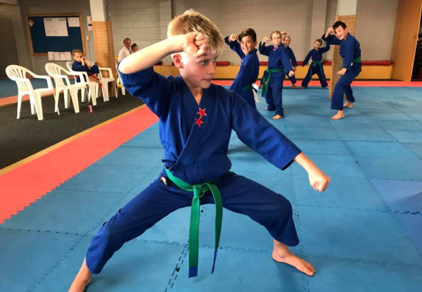 Two Introductory Karate Classes - Options for Children, Adults & Families