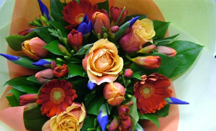 Flowers on Lambton