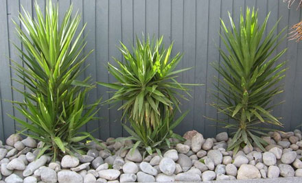 Urban Paving and Landscape Supplies