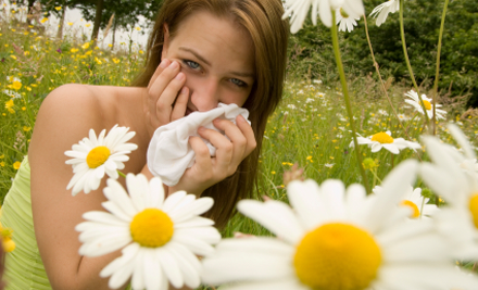 Allergy Field