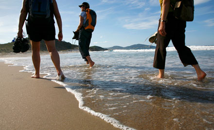 Bream Head Coast Walks
