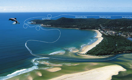 Noosa Ocean Rider