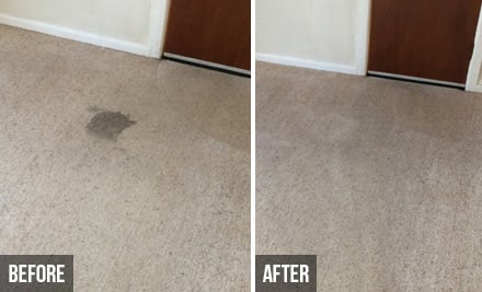 From $34 for Home Carpet Cleaning – Options Available for One, Two, Three & Four Bedroom Homes (value up to $175)