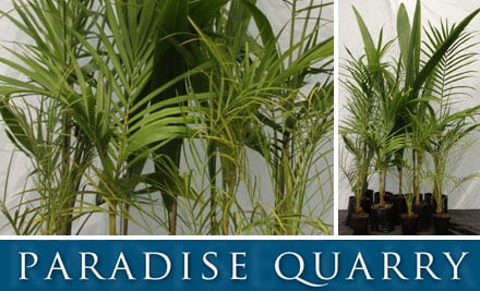 Paradise Quarry Nurseries