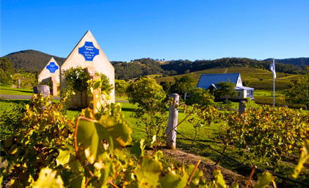 Ivanhoe Wines