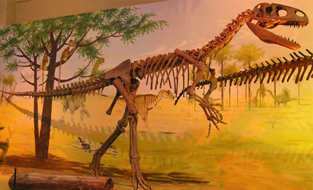 National Dinosaur Museum