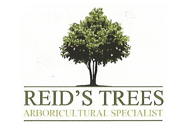Reid's Trees