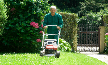 Greencor Gardening and Maintenance
