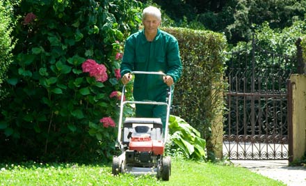 Whangarei Chainsaw & Mower Services