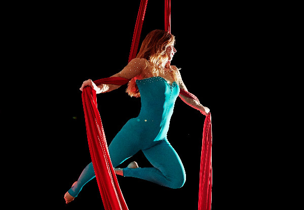 Flip & Fly Circus School