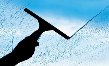 We Wash Windows