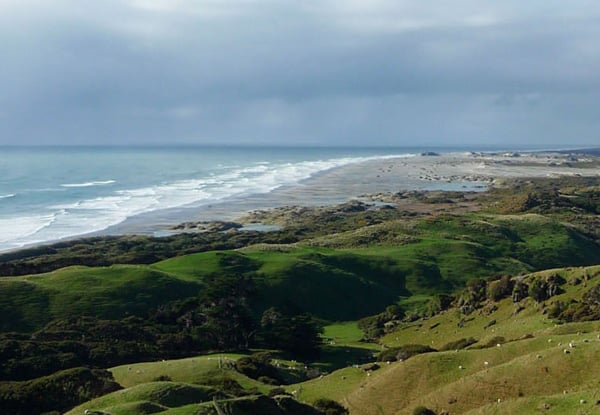 Farewell Spit Eco Tours