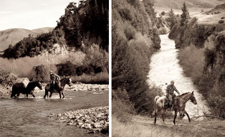 Peel Forest Horse Trekking