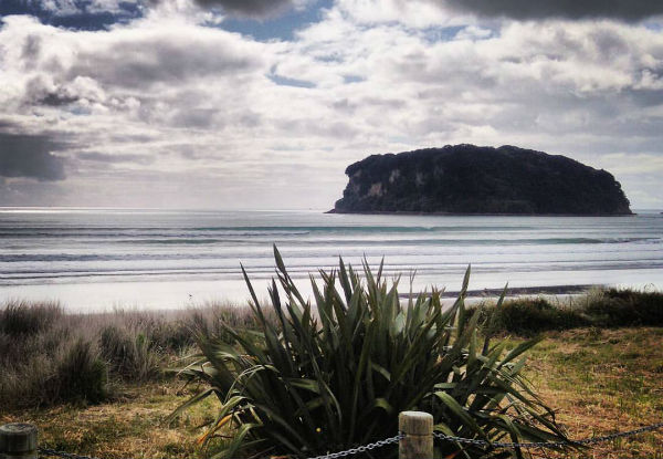 Scenic Donut Island Kayak or Stand Up Paddle Board Guided or Self-Guided Tour