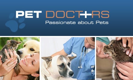 Pet Doctors