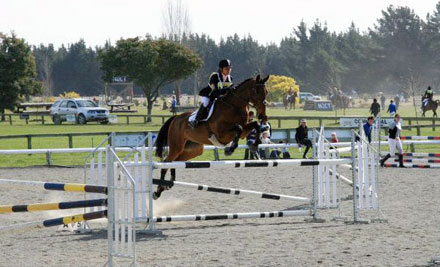 Scarlett Oak Equestrian