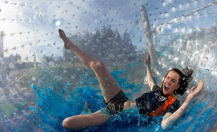 ZORB Rotorua - Fat Dog Cafe