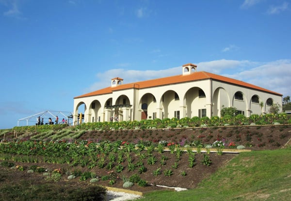 Karikari Estate Winery