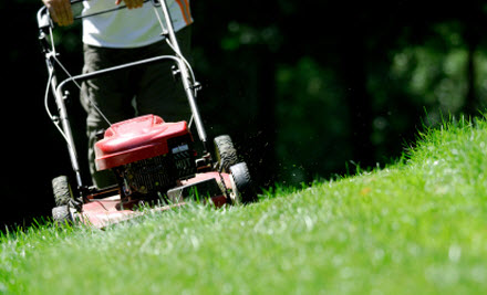 Innovative Gardening Services