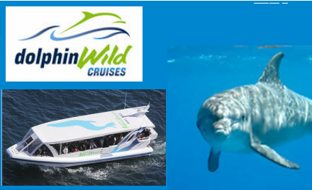 Dolphin Wild Cruises