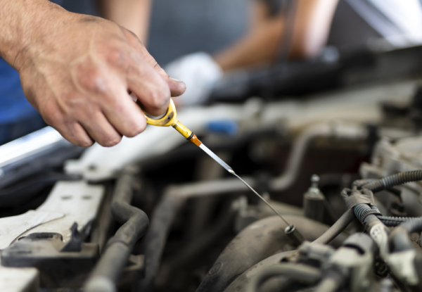 AutoXpress Wellington Ltd