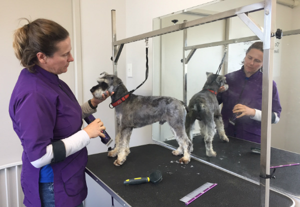 Rotorua SPCA