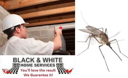 Black and White Home Services