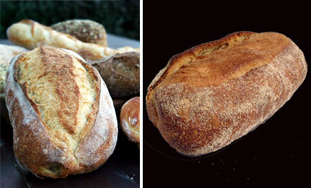 Volare Bread