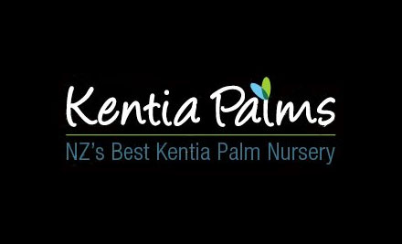 Kentia Palms
