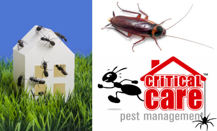 Critical Care Pest Management