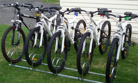 Two-Hour Mountain Bike Hire incl. Equipment