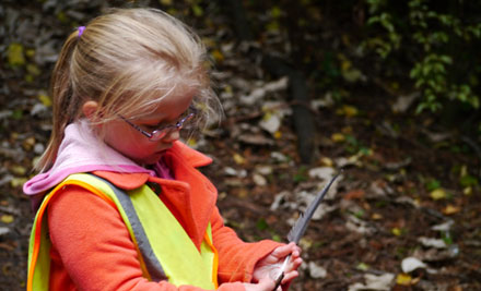 Play and Learn Forest Kindergarten