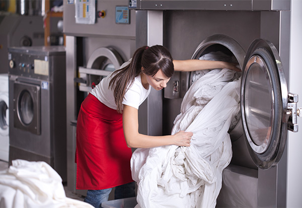Laundry Plus