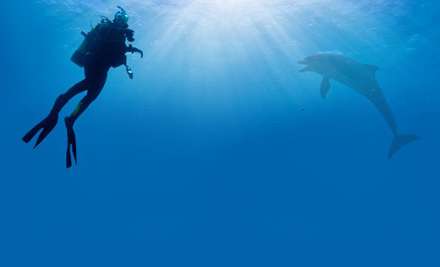 New Zealand Sea Adventures