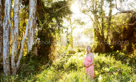 Anna Gilbert Photography