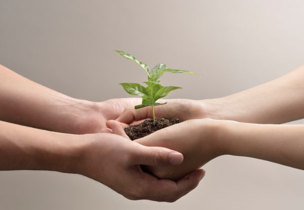 Conservation Diploma - How to Sustain Earth's Resources Online Course