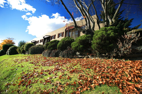 Best Western Cranbury Court