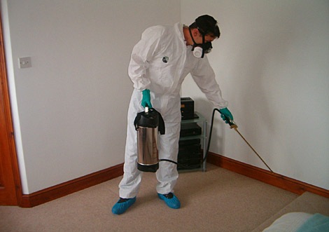 Eco Pest Control & Cleaning Services