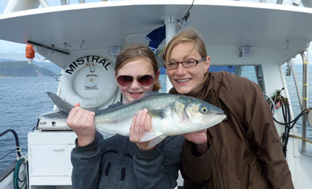 Wildcat Charters