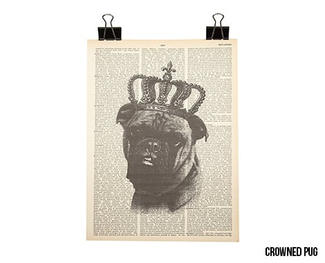 Pepin Design
