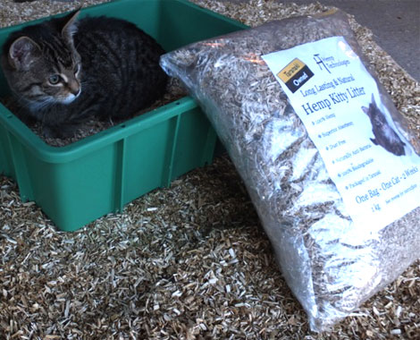 Hemp Technologies