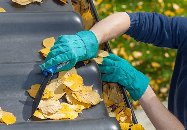 Iron Roof Restoration Package incl. Moss & Mould Treatment, Roof Wash, Minor Repairs, Two Top Coats & More