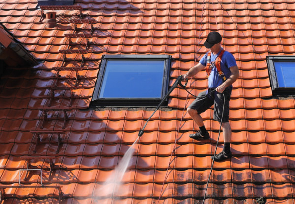 YourLocal House Wash Roof & Pest - Tauranga