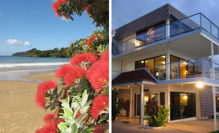 By the Bay Beachfront Apartments - Coopers Beach