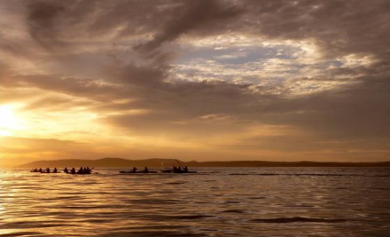 Port Stephens Eco Sports