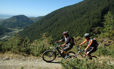 3 Hour Guided Bike Ride