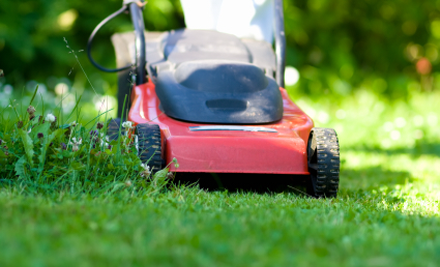 Huff and Puff Garden Maintenance