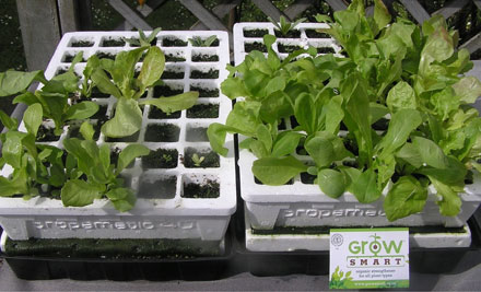 Grow Smart Organics