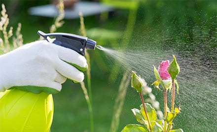 Mount Property Services